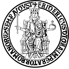 Napoli University